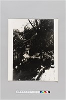 藏品(桂林之月牙山（廣西）)的圖片